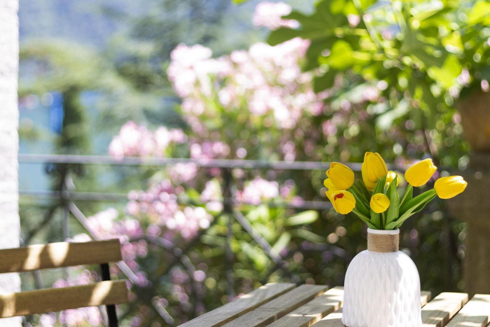 La Castignola Con Vista Di E Giardino Condiviso *
