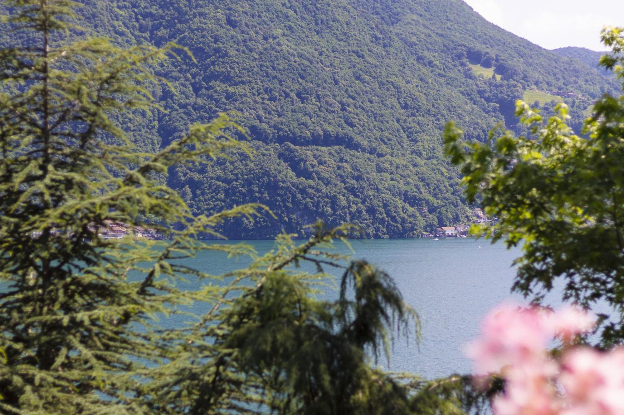 La Castignola Con Vista Di E Giardino Condiviso Lugano