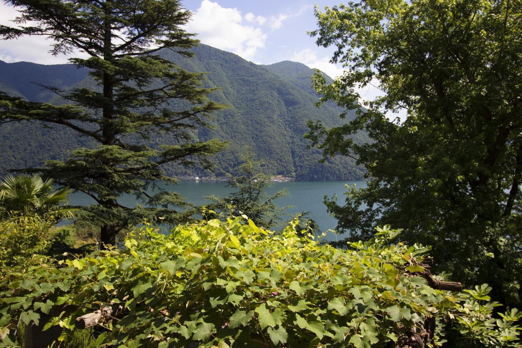 La Castignola Con Vista Di E Giardino Condiviso Appartamento Lugano