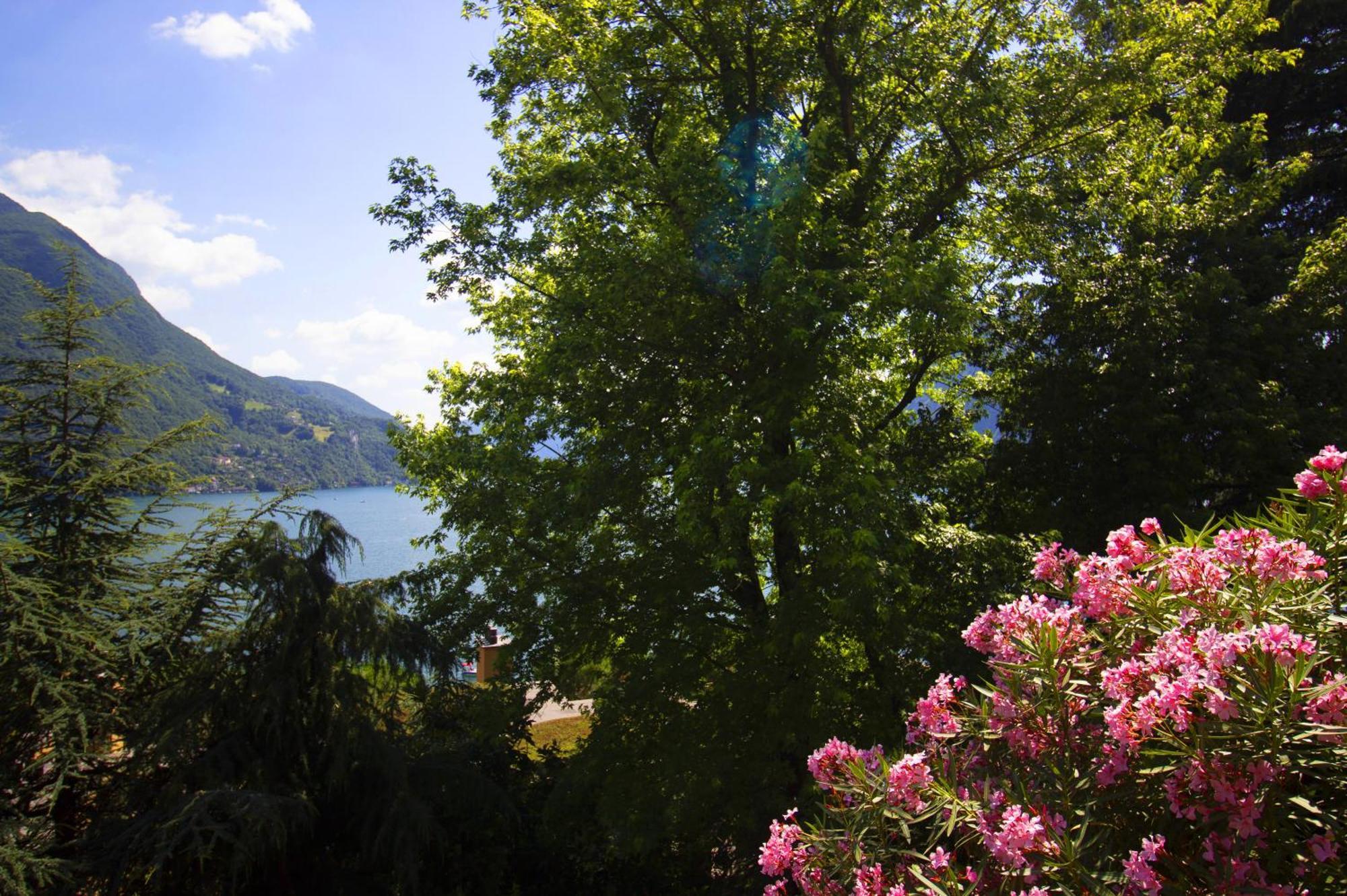 La Castignola Con Vista Di E Giardino Condiviso * Lugano
